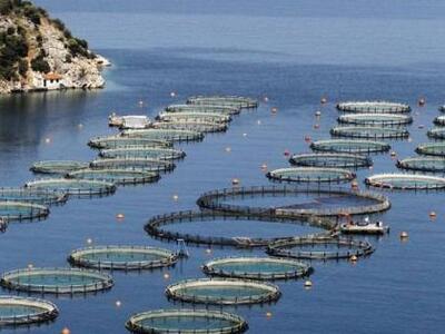 Συγχωνεύονται ΔΙΑΣ και Σελόντα - Νέο τοπ...