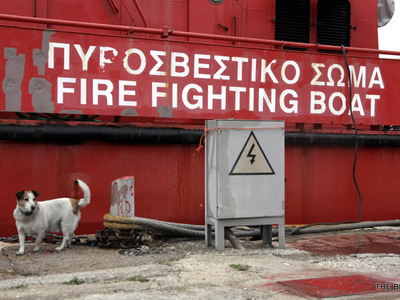 Η μασκότ του 2ου Π.Σ. ο Πίκι, τη φροντίδα του οποίου έχουν όλοι οι υπάλληλοι