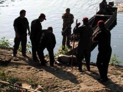 Βρέθηκε πτώμα σε αποσύνθεση σε ρέμα κοντ...