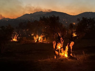 Φωτιά στο Ρέθυμνο: Ολονύχτια μάχη με τις...