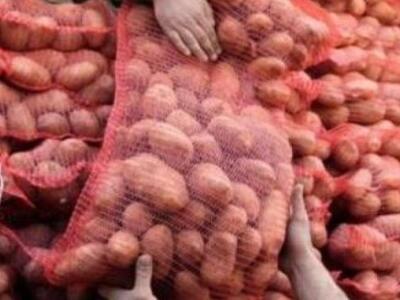 Διανομή πατάτας σε πολύτεκνες οικογένειε...