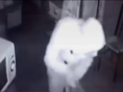 Διαρρήκτης δεν βρήκε λεφτά και πήρε κέικ...