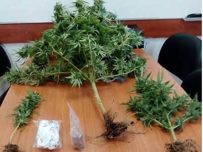 Η κάνναβη "έκαψε" τον 45χρονο