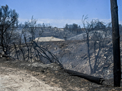 Δήμος Πατρέων: Πιστώθηκαν χρήματα στους ...