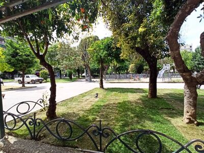 Πάτρα: Έκοψε τα ξερά χόρτα ο Δήμος - Η έ...