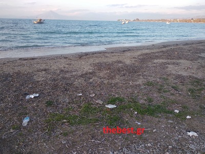 Και σκουπίδια και πλαστικά στις θάλασσες...