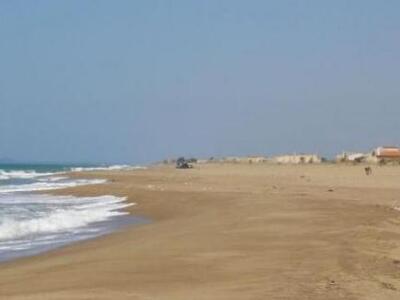 Ηλεία: Κατέρρευσε 68χρονος άνδρας μετά τ...