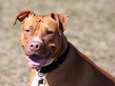 «Μόνο αίμα. Πολύ αίμα» - Συγκλονίζει η μ...