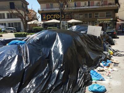 Πύργος: Ξεκινά άμεσα η αποκομιδή των σκο...