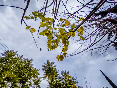 Καιρός σήμερα: Στα δύο η χώρα με ήλιο και βροχές