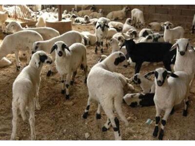 "Θερίζει" ο καταρροϊκός πυρετό...