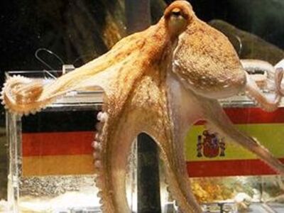 Σφάζονται μπρος στα 8 πόδια του χταποδιού...