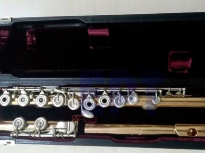 Της έκλεψαν χρυσό φλάουτο αξίας 25.000 ε...