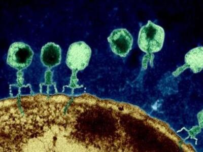 Άγνωστο στους επιστήμοντες το 90% των ιώ...