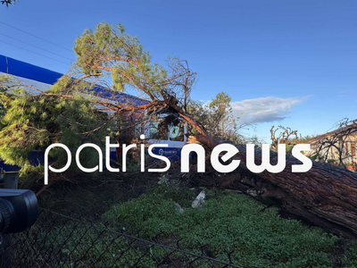 Ηλεία: Πεύκο έπεσε πάνω σε τρένο που εκτ...