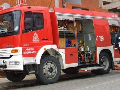 Πάτρα: Οι Πυροσβέστες έσωσαν το σκυλάκι ...