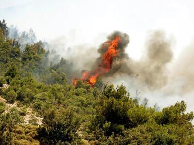 Αχαΐα: Υπό έλεγχο η πυρκαγιά στο Μέγα Σπ...