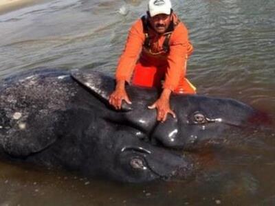 Μεξικό: νεκρές βρέθηκαν «σπάνιες» σιαμαί...