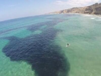 Δεν θα πιστεύτε τι είναι αυτές οι μαύρες...