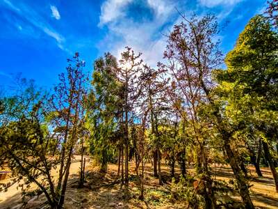Καιρός: Αίθριος σήμερα Τρίτη -Η πρόγνωση...