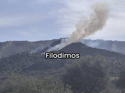 Χωρίς ενεργό μέτωπο η φωτιά στον Νέο Ερινεό Αχαΐας