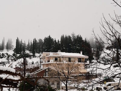 Κοινωνικός τουρισμός ΔΥΠΑ: Χειμερινές δι...