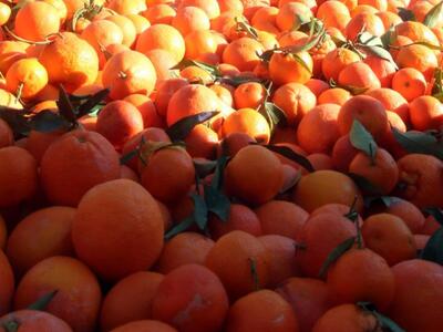 Πλησιάζει η μέρα της μεγάλης γιορτής πορ...