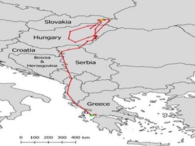 Διαδρομή του KITE10 από τη φωλιά του έως...