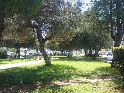 Πλατεία Δροσιάς.