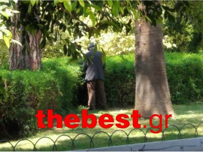 Καλό είναι το γρασίδι, αλλά υπάρχουν και...