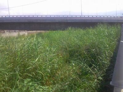 Πάτρα-Οι κάτοικοι στα Κρύα Ιτεών "χ...