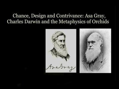 Διάλεξη του Καθηγητή της Ιστορίας και Φι...