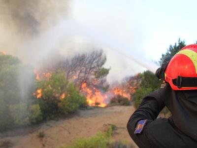 Πάτρα: Η πυρκαγιά στο Πουρνάρι τέθηκε υπό έλεγχο