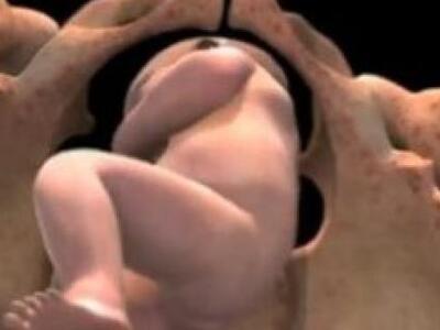 Video δείχνει το έμβρυο από τη σύλληψη μ...