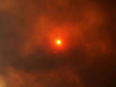 Δείτε και άλλες φωτογραφίες από τα πύρινα μέτωπα 