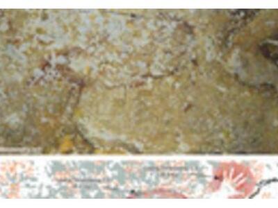 Ινδονησία: Βρέθηκαν βραχογραφίες 40.000 ετών