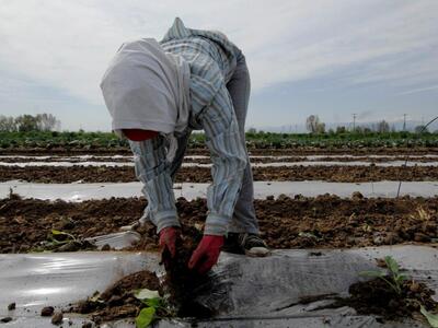 Εγκρίθηκαν 49 Προγράμματα Τοπικής Ανάπτυ...