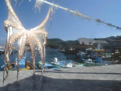 Το σχέδιο για τον τουρισμό στη σκιά του ...