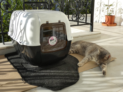 Πάτρα: Έκρυβε ναρκωτικά στο σπιτάκι της γάτας