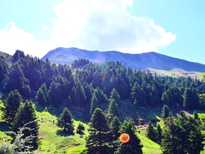 Κανονικά το "2ο ΔΙΒΡΙΣ hard trail race"