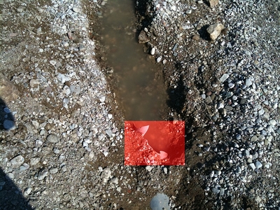 Καμπανάκι κινδύνου για τα θαλασσινά νερά...