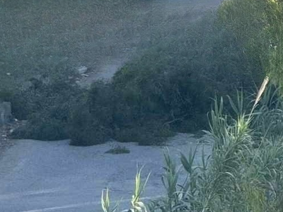 Πάτρα: Κίνδυνος από την πτώση μεγάλων δέ...