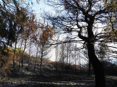 Καμπανάκι από Λέκκα για Κύθηρα: Κίνδυνος...