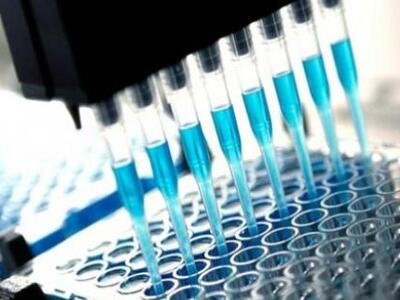 Καναδάς: 16χρονος μαθητής πίσω από θεραπ...