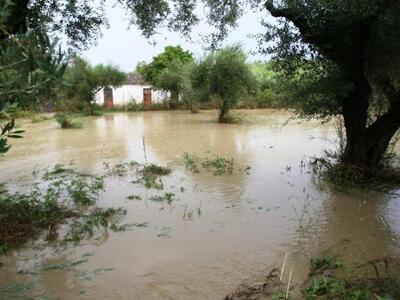 Ηλεία: Καταστροφές σε Πύργο και Αμαλιάδα...