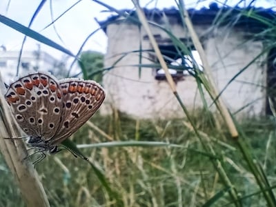 Καιρός: Φεύγουν οι βροχές, ανεβαίνει η θερμοκρασία