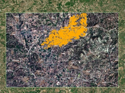 Πυρκαγιά στην Ηλεία- Copernicus: Κάηκαν ...