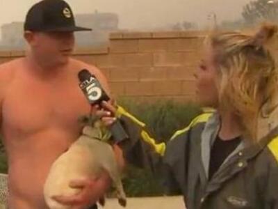 Συνέβη στον αέρα: Πλησίασε ημίγυμvος τη ...