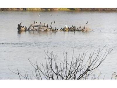 Λίμνη Κερκίνη: Συνεχίζονται οι έρευνες γ...