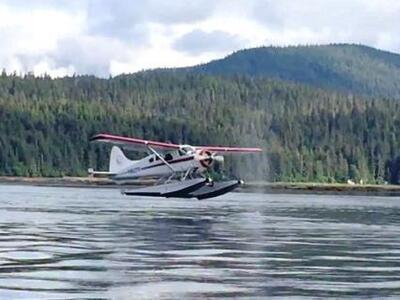  Φάλαινα εναντίον υδροπλάνου! ΔΕΙΤΕ ΤΟ ΒΙΝΤΕΟ